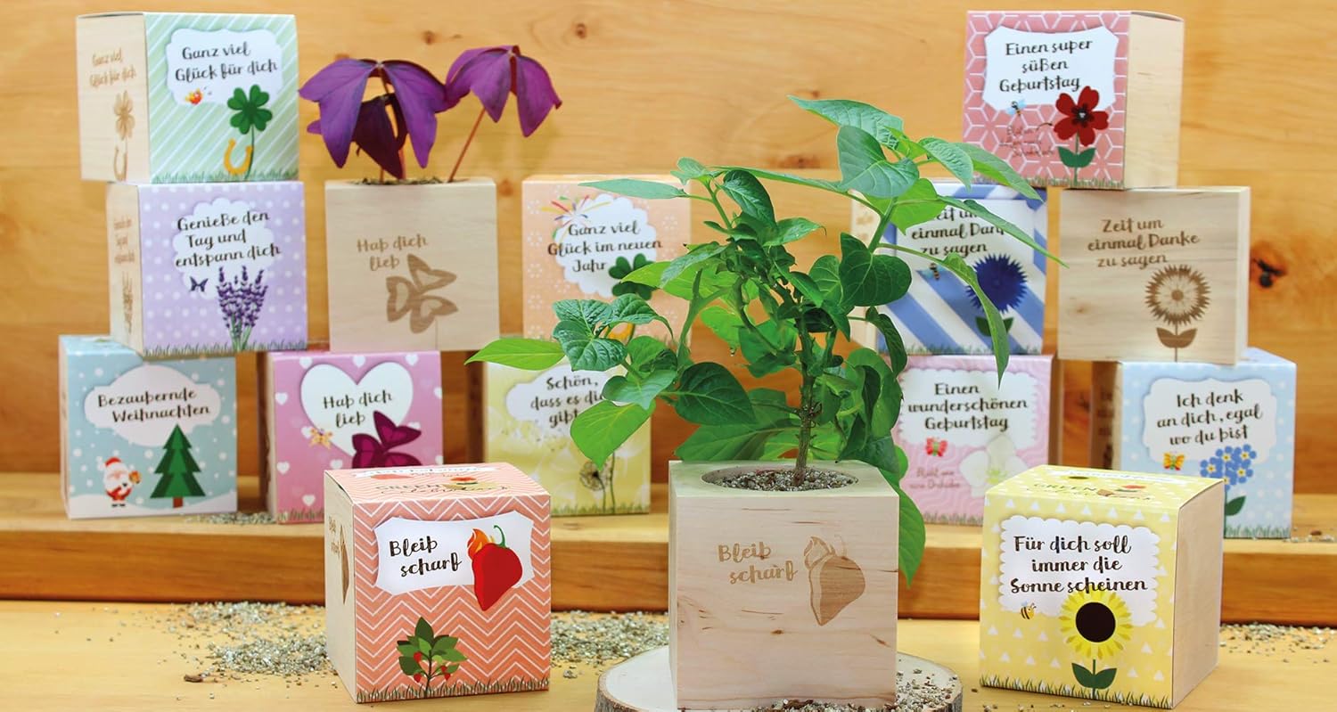 Ecocube Sonnenblume Anzuchtset Holz-Wuerfel mit Samen Geschenkidee