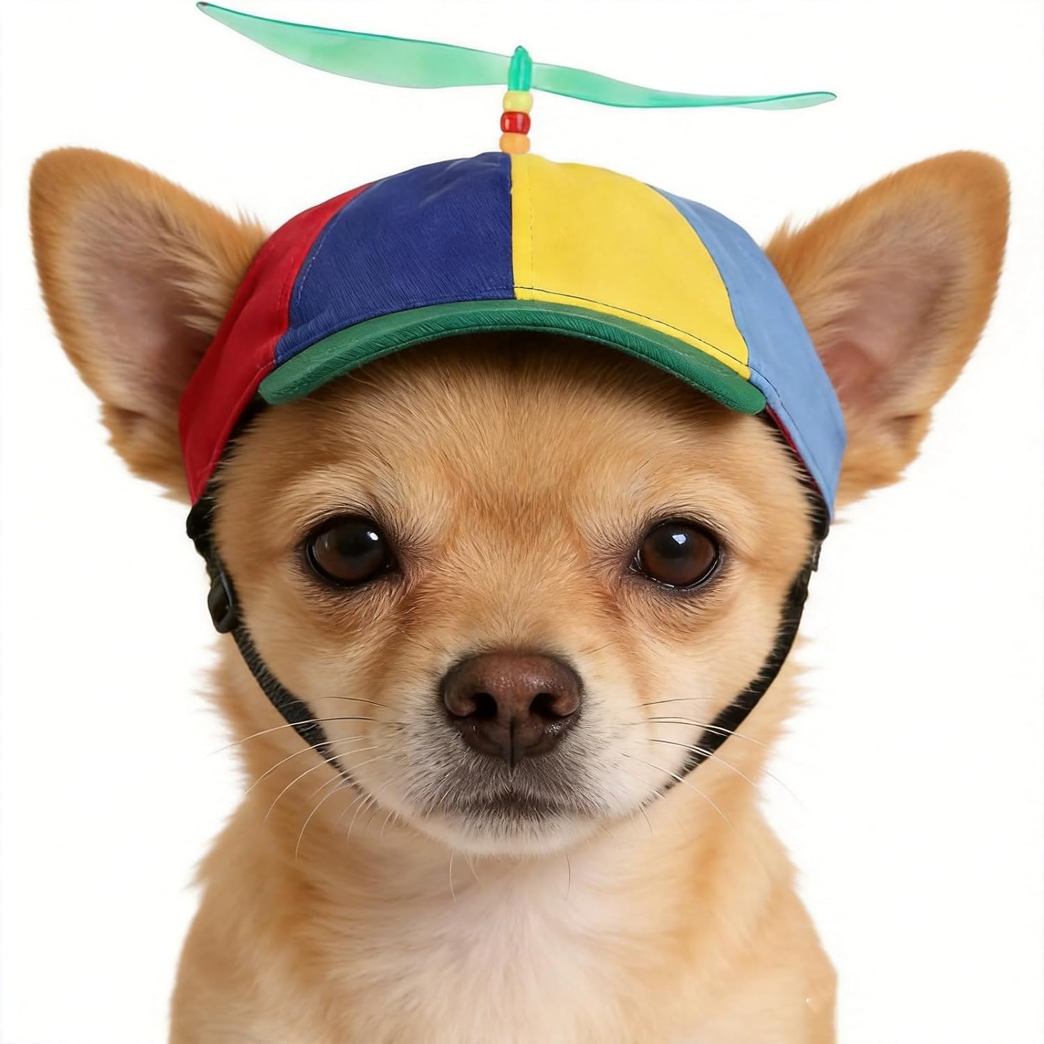 Propeller Muetze Hund Katze verstellbar S-L Baumwolle Sonnenhut bunt