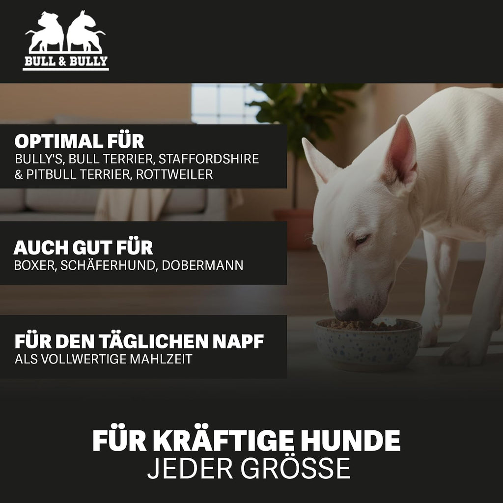 BULL & BULLY Nassfutter Rind mit Gemüse 91% Fleisch für aktive Hunde