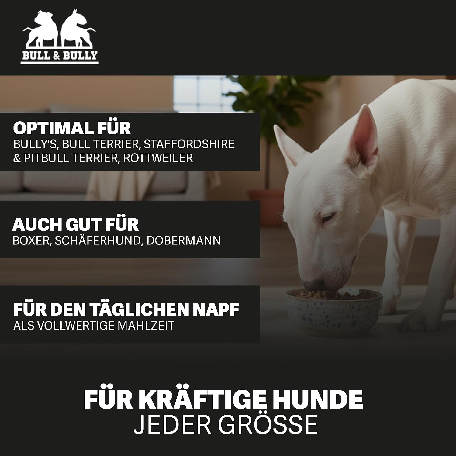 BULL & BULLY Nassfutter Rind mit Gemüse 91% Fleisch für aktive Hunde