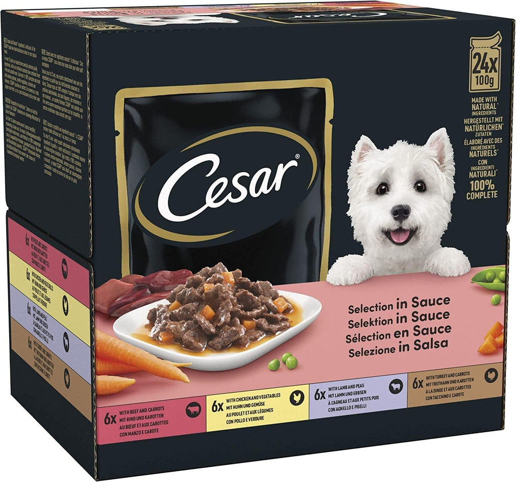 Cesar Hunde Nassfutter 40 x 100 g Selektion in Sauce - verschiedene Sorten