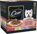 Cesar Hunde Nassfutter 40 x 100 g Selektion in Sauce - verschiedene Sorten