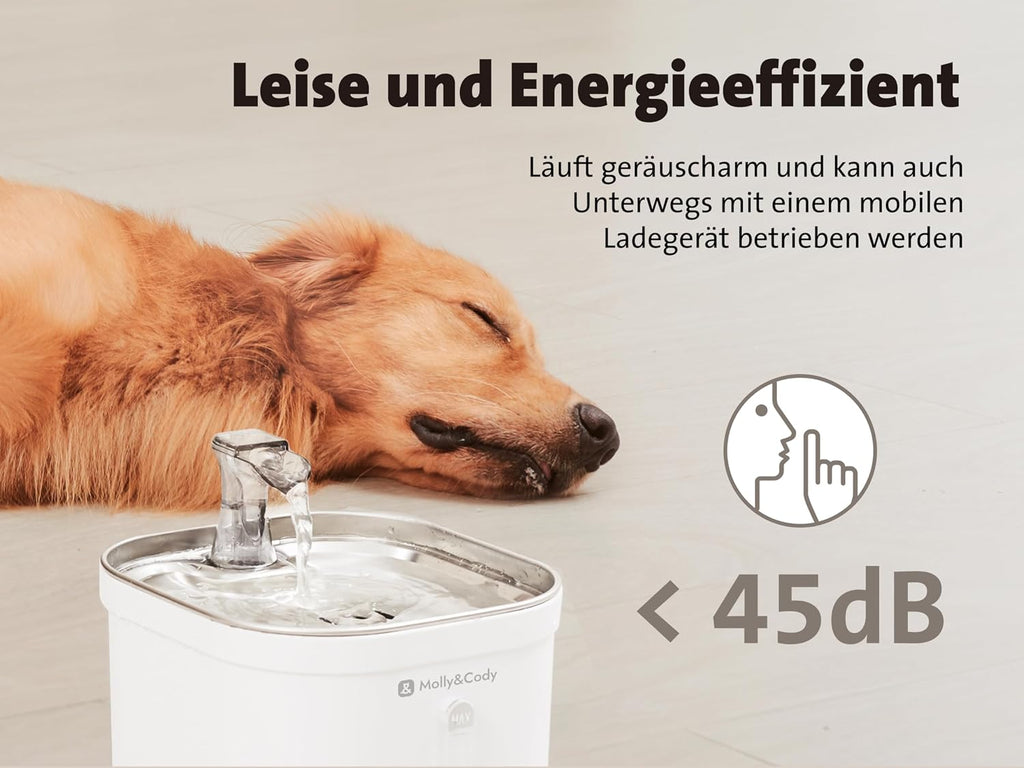 Molly&Cody Trinkbrunnen Spring fuer Katzen und Hunde, Edelstahl, leise Pumpe