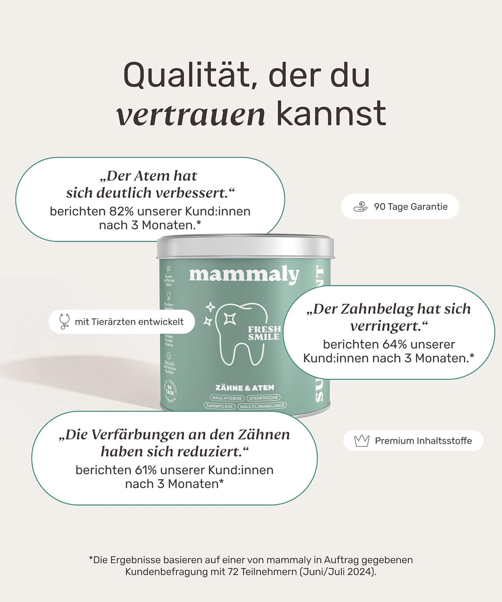 mammaly Fresh Smile Hundezahnpflege Leckerli 10-in-1 verschiedene Sort