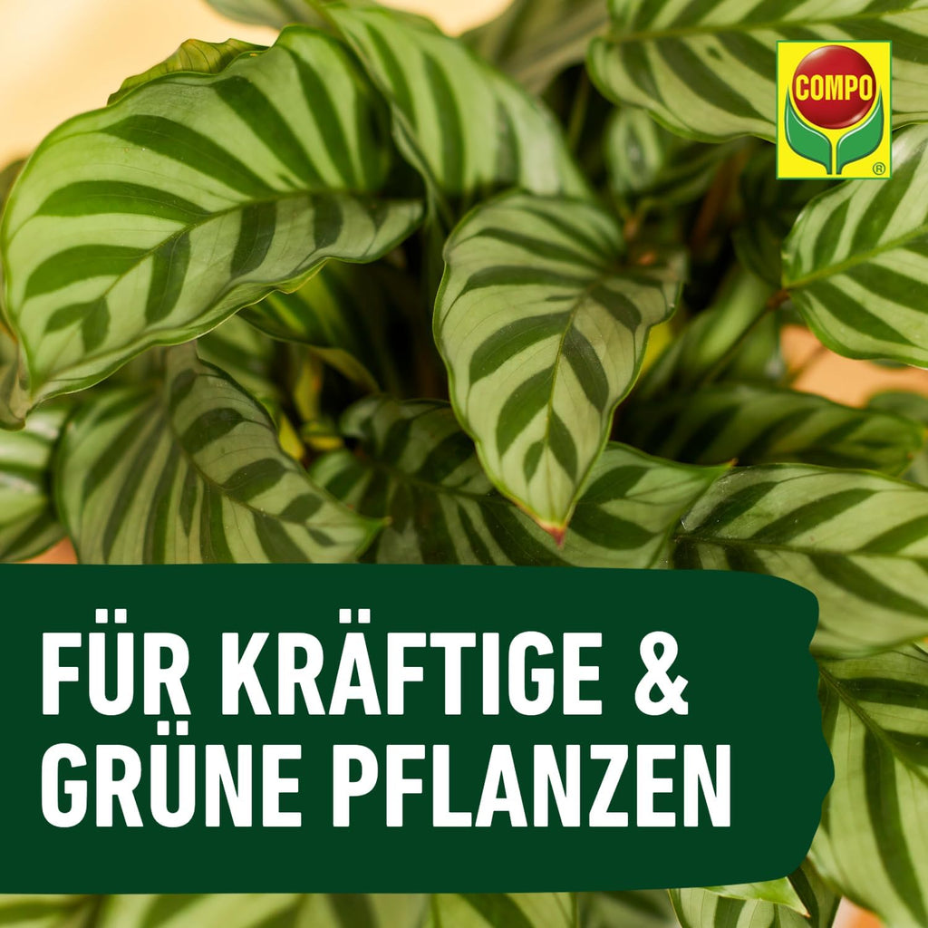 COMPO Gruenpflanzenduenger Fluessig fuer Zimmer, Balkon, Terrasse