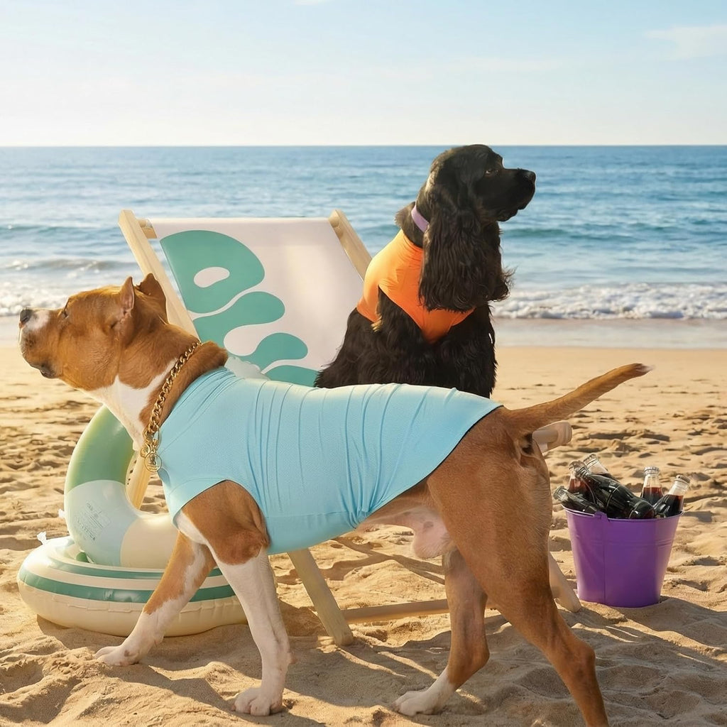 Hundekuehlweste 2er-Pack Orange Blau mit Stehkragen und dehnbarem Bauchgurt