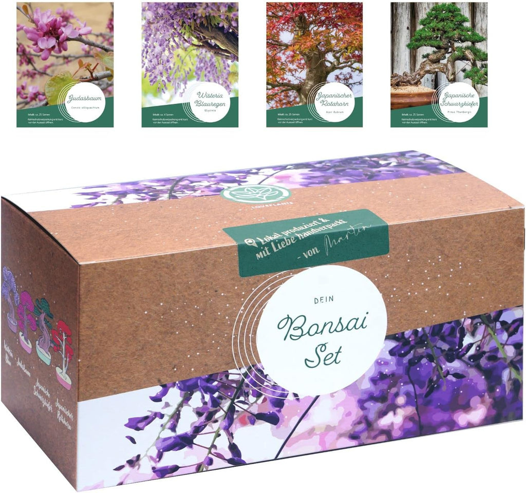 Bonsai Starter Kit mit 4 Samen Anzuchtset plastikfrei nachhaltig Geschenk