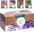 Bonsai Starter Kit mit 4 Samen Anzuchtset plastikfrei nachhaltig Geschenk