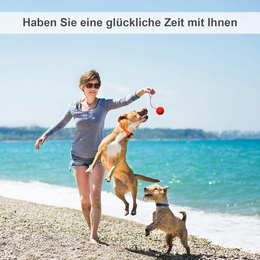 4x Hundeball mit Seil aus Naturkautschuk – robustes Hundespielzeug