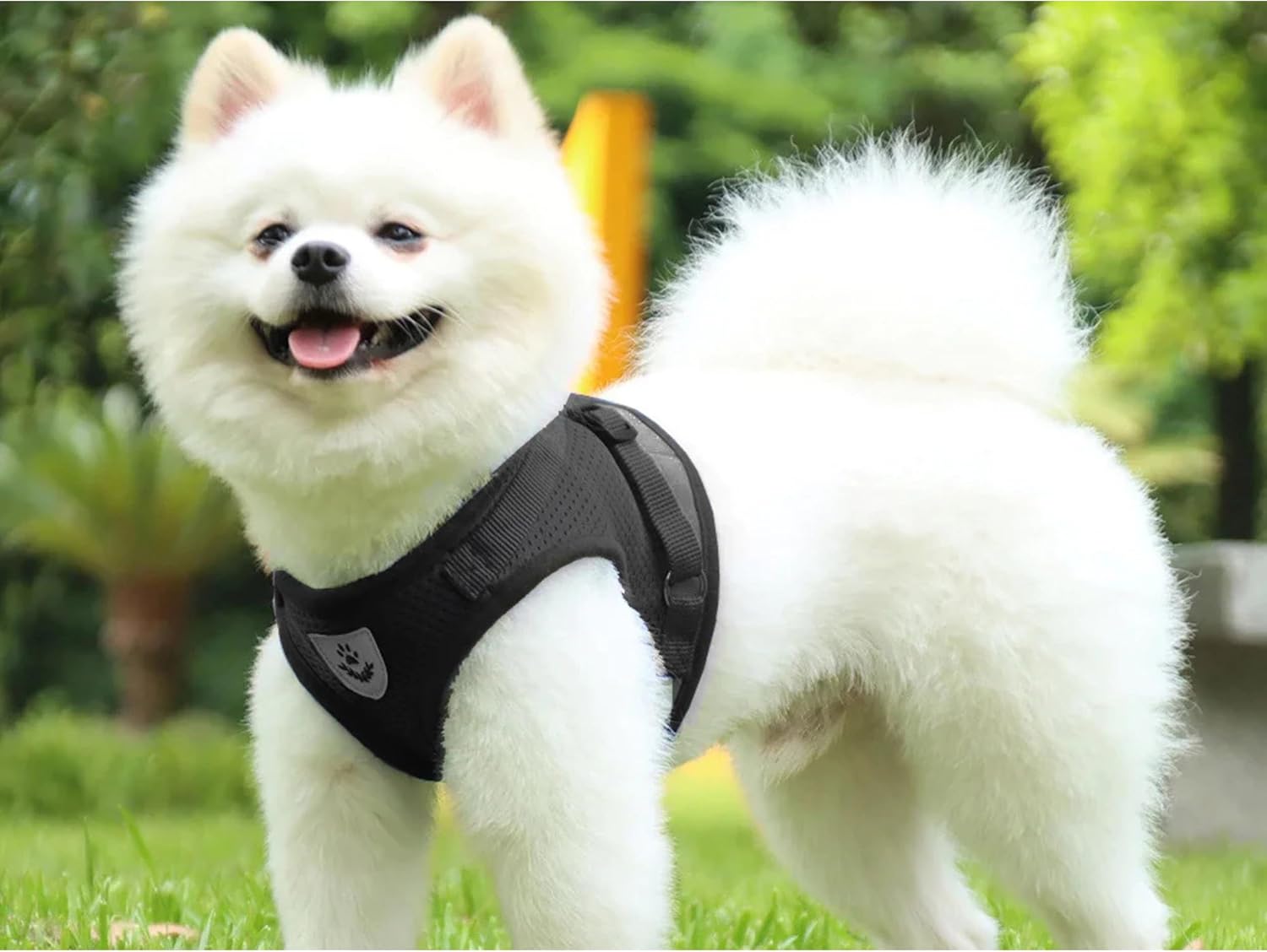 Reflektierendes Hundegeschirr S atmungsaktiv mit 110 cm Leine Schwarz