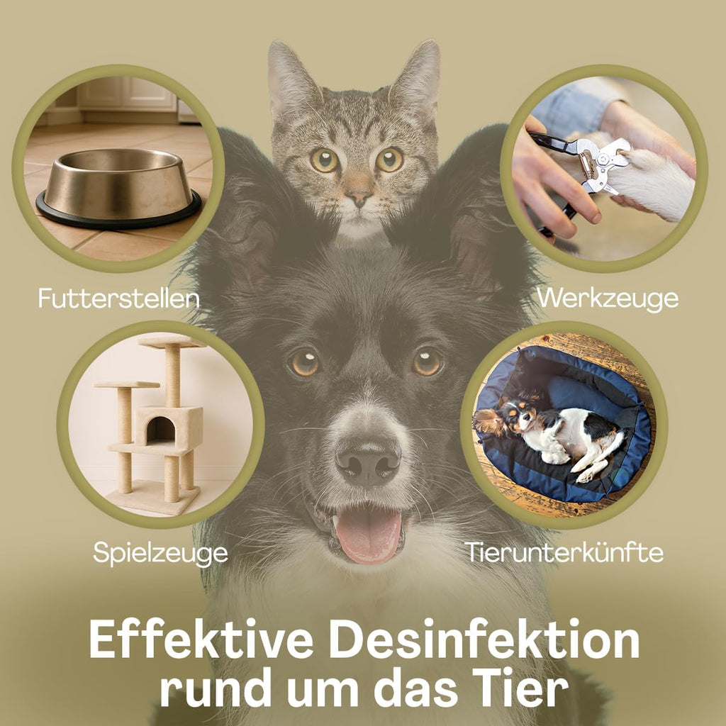PROTECT Haustier Desinfektionsspray 500 ml alkoholfrei für Hunde und Katzen