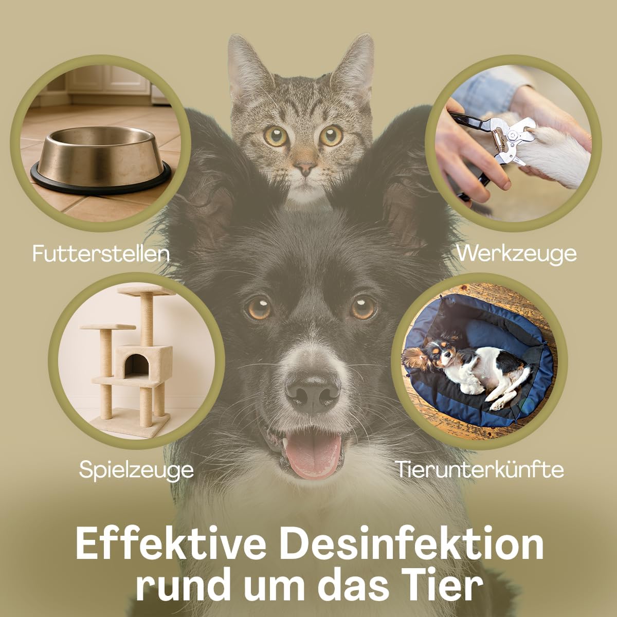 PROTECT Haustier Desinfektionsspray 500 ml alkoholfrei für Hunde und Katzen