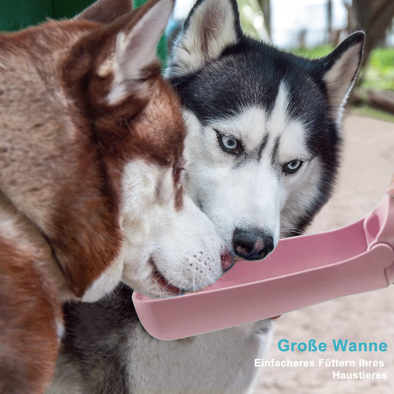Hundetrinkflasche zum Mitnehmen Wasserflasche fuer Welpen Hunde