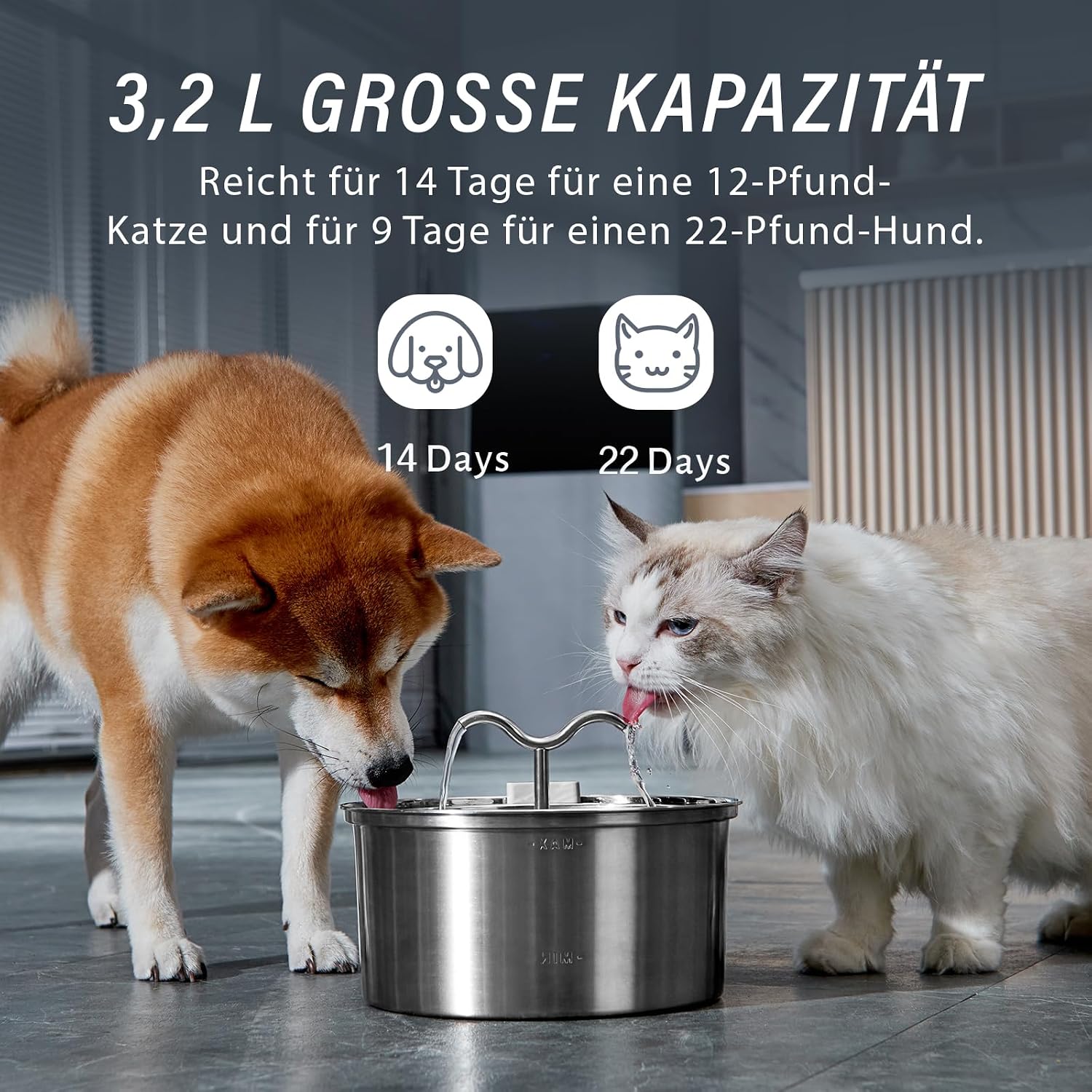 DOOOB Katzentrinkbrunnen Edelstahl 3,2L leise mit Filter und Schwamm