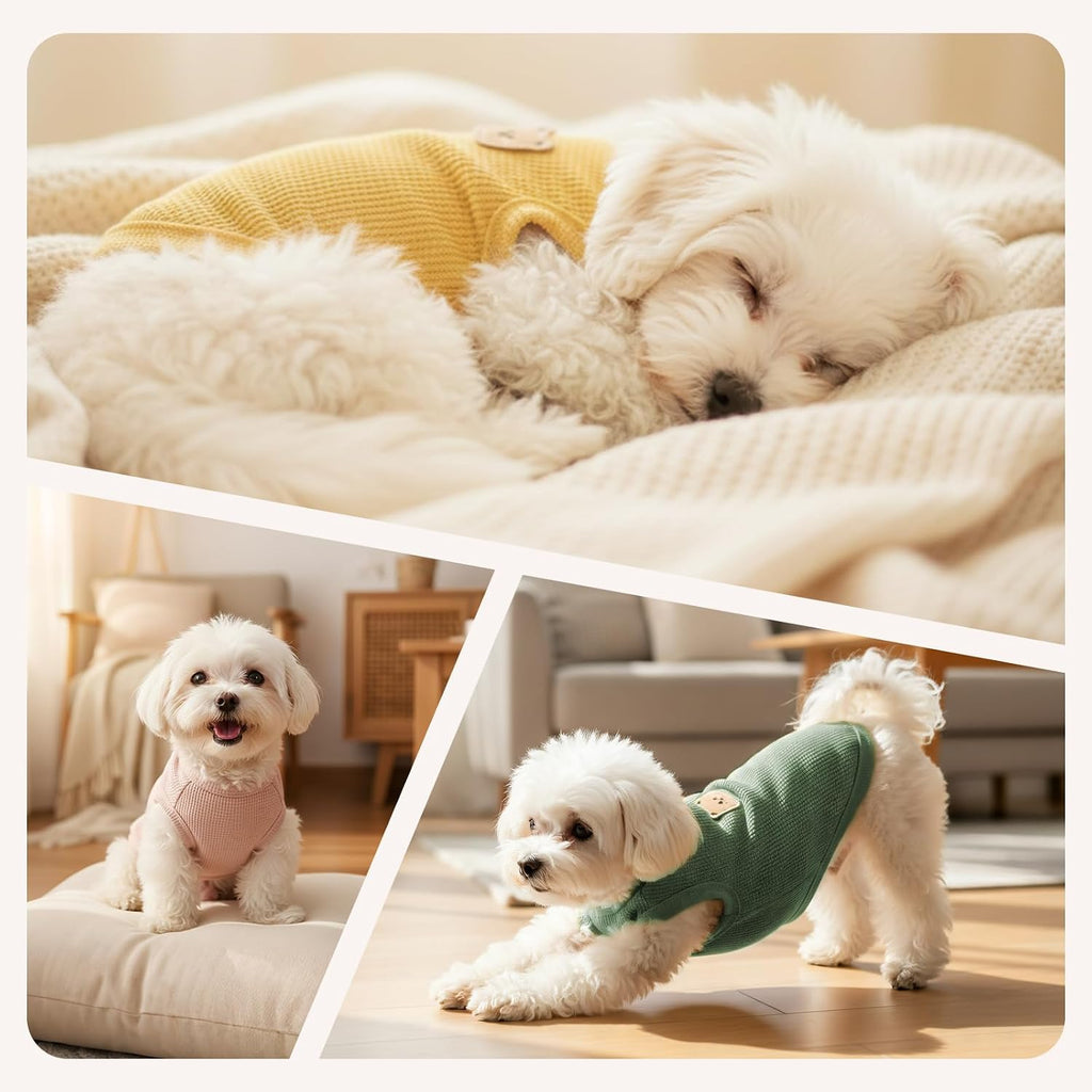 Hundeshirt atmungsaktiv fuer kleine Hunde Dackel Gr. M 2er Pack