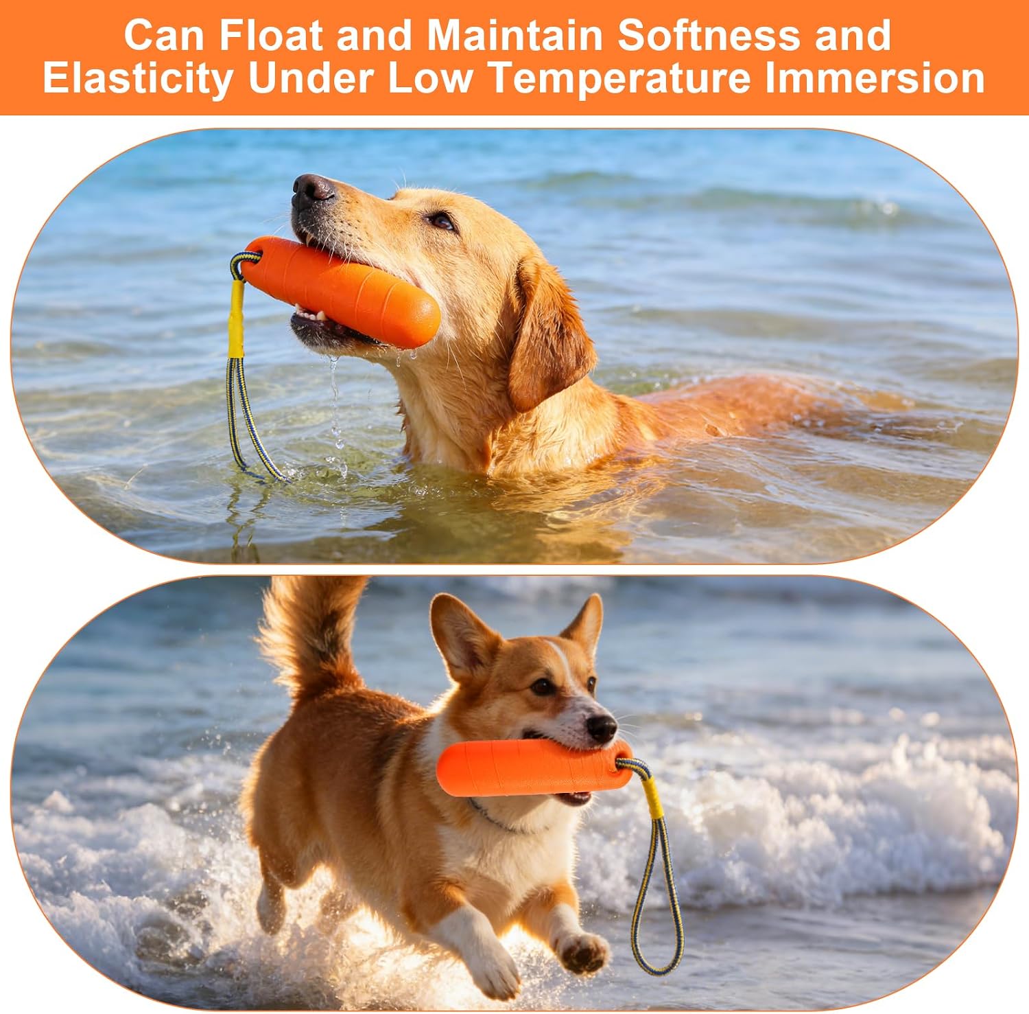 DUTIFUL Hundespielzeug Wasserspielzeug schwimmend mit Nylonseil Gr. Mittel/Gross