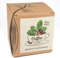Coffee To Grow Kaffeestrauch Anzuchtset Pflanzset Geschenk