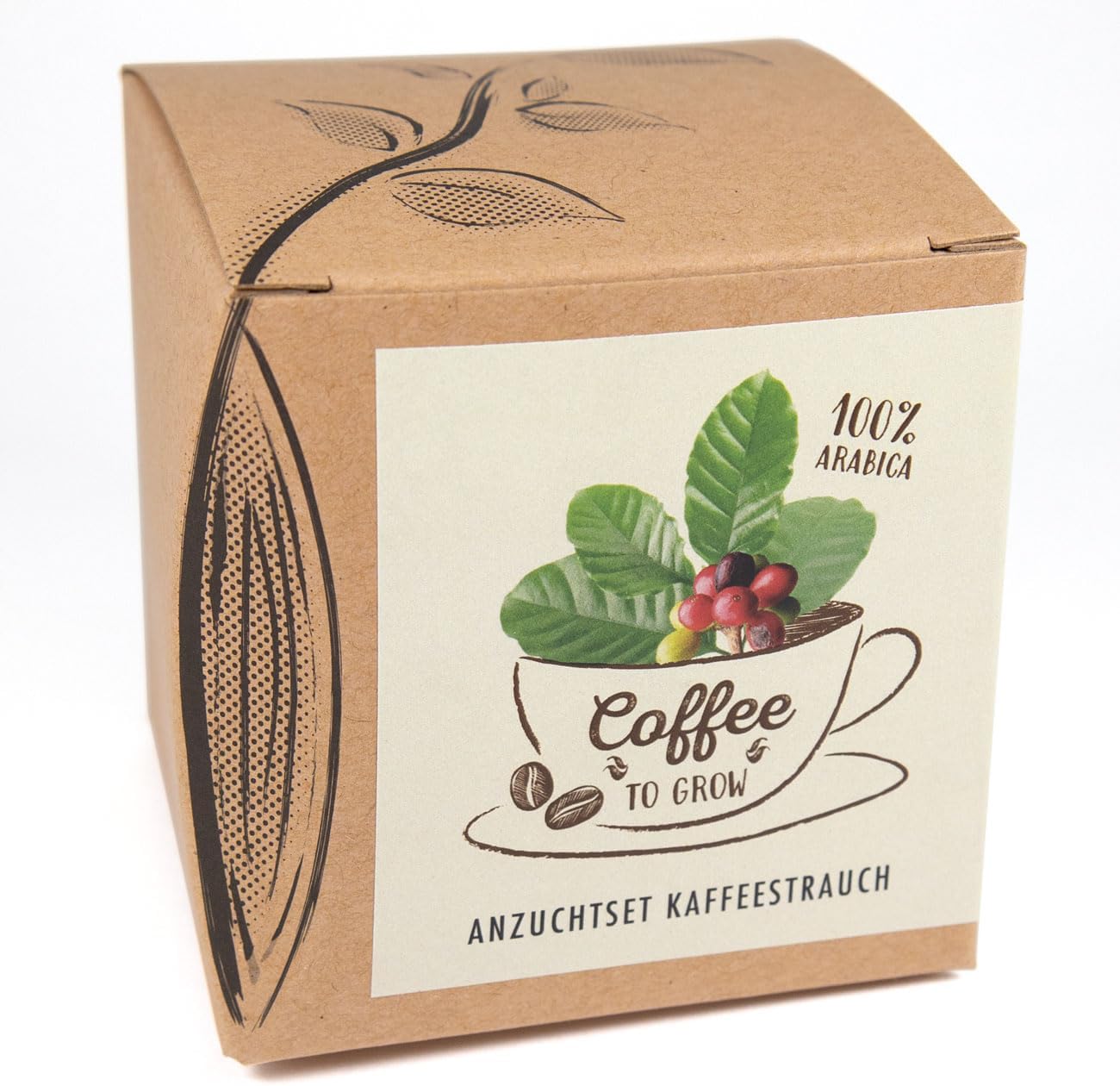 Coffee To Grow Kaffeestrauch Anzuchtset Pflanzset Geschenk