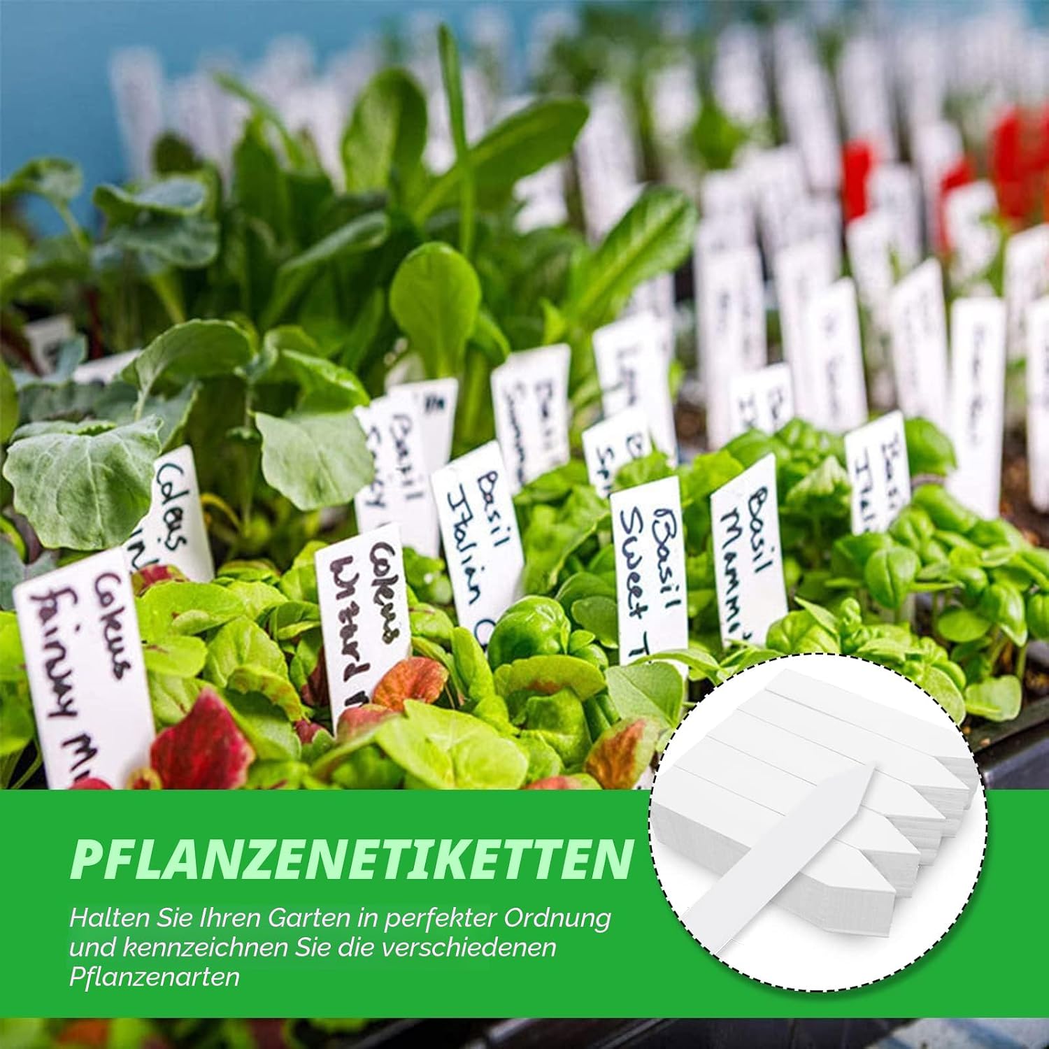 200er Set Pflanzenschilder Kunststoff 10x2 cm wetterfest Pflanzenstecker