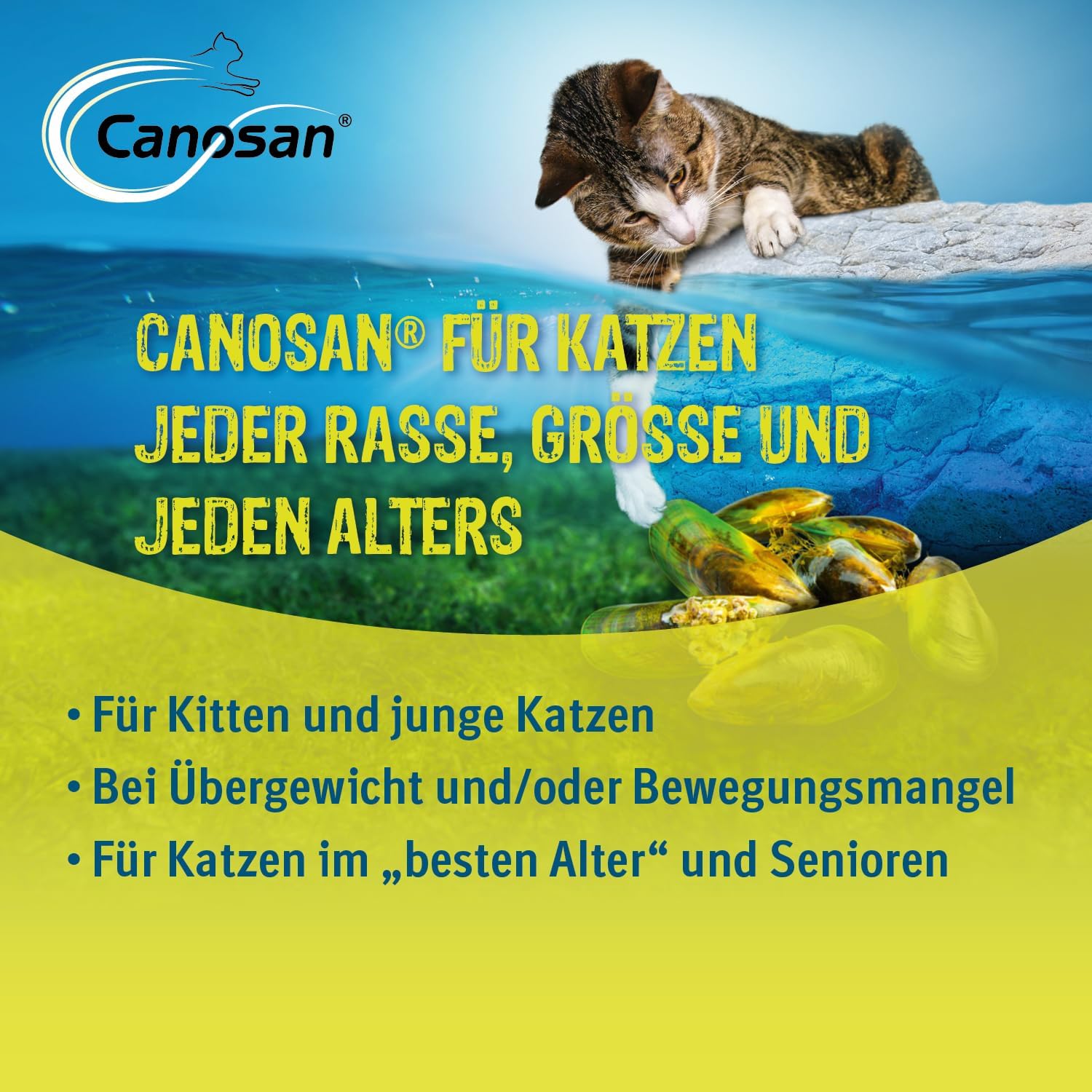 Canosan Kautabletten 30 Stk Grünlippmuschel Katzen Gelenkgesundheit