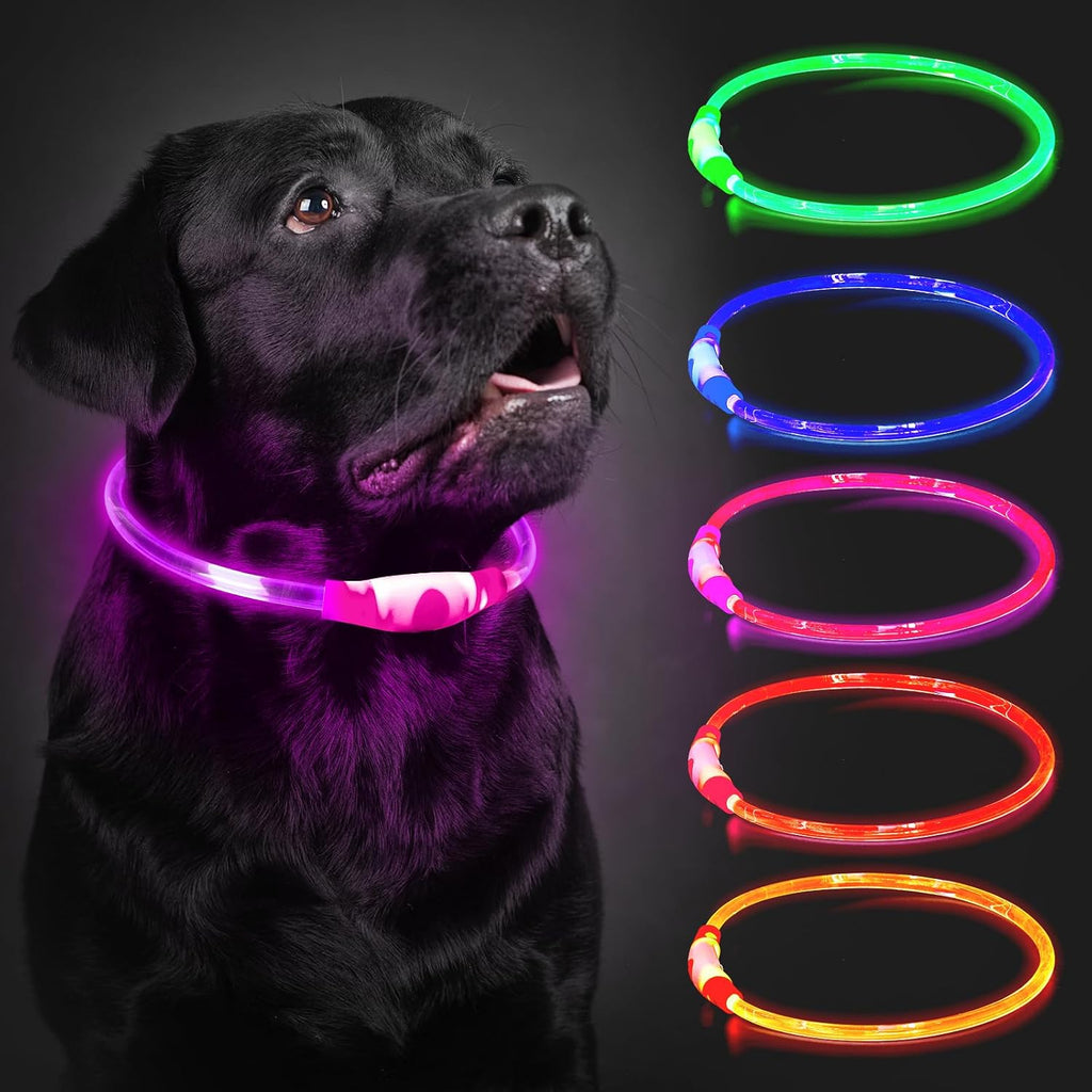 Leuchthalsband Hund LED aufladbar 70 cm wasserdicht 3 Lichtmodi Blau