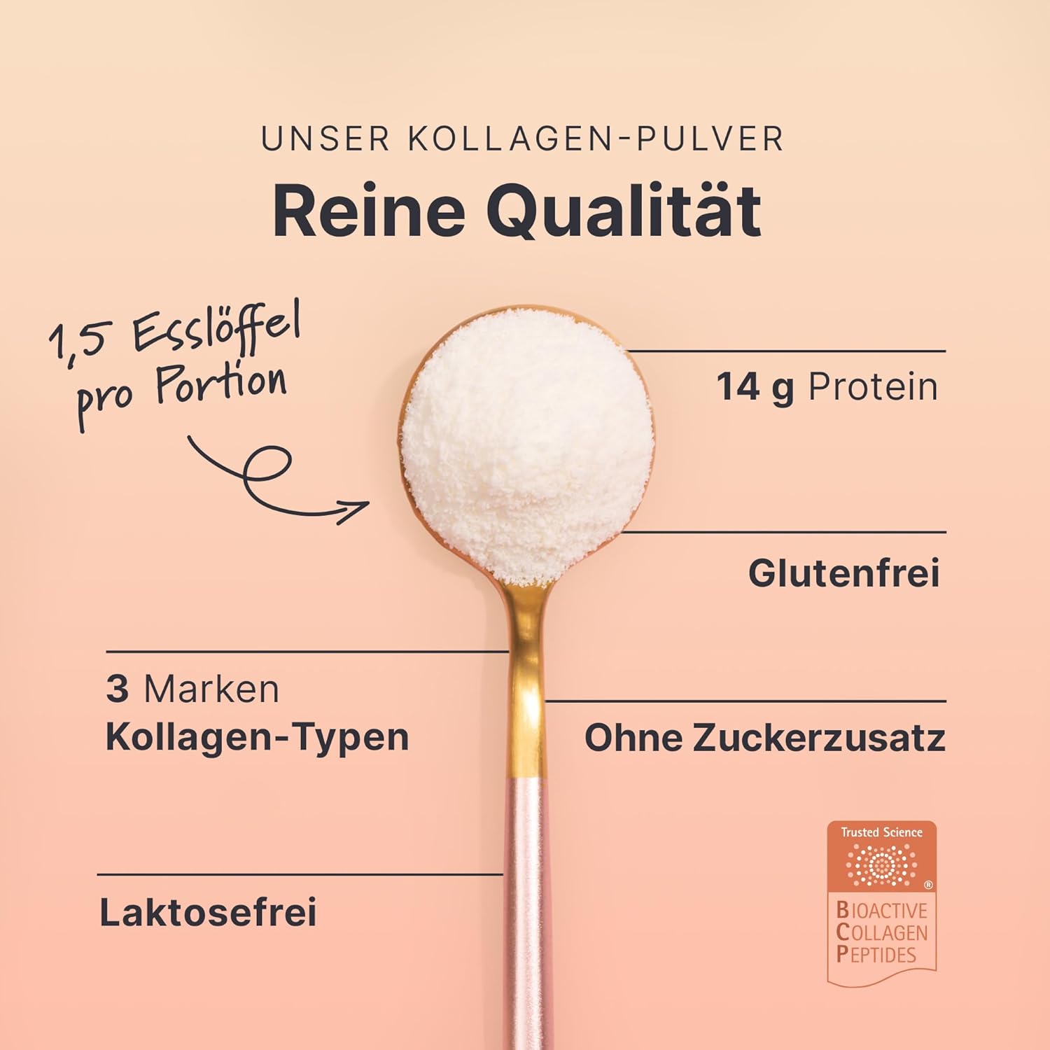 SHEKO Kollagen Peptide Pulver Hydrolysiertes Kollagen Protein