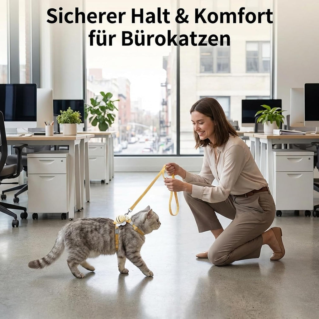 Katzengeschirr verstellbar 2er Set atmungsaktiv Softgeschirr mit Leine Brustgurt