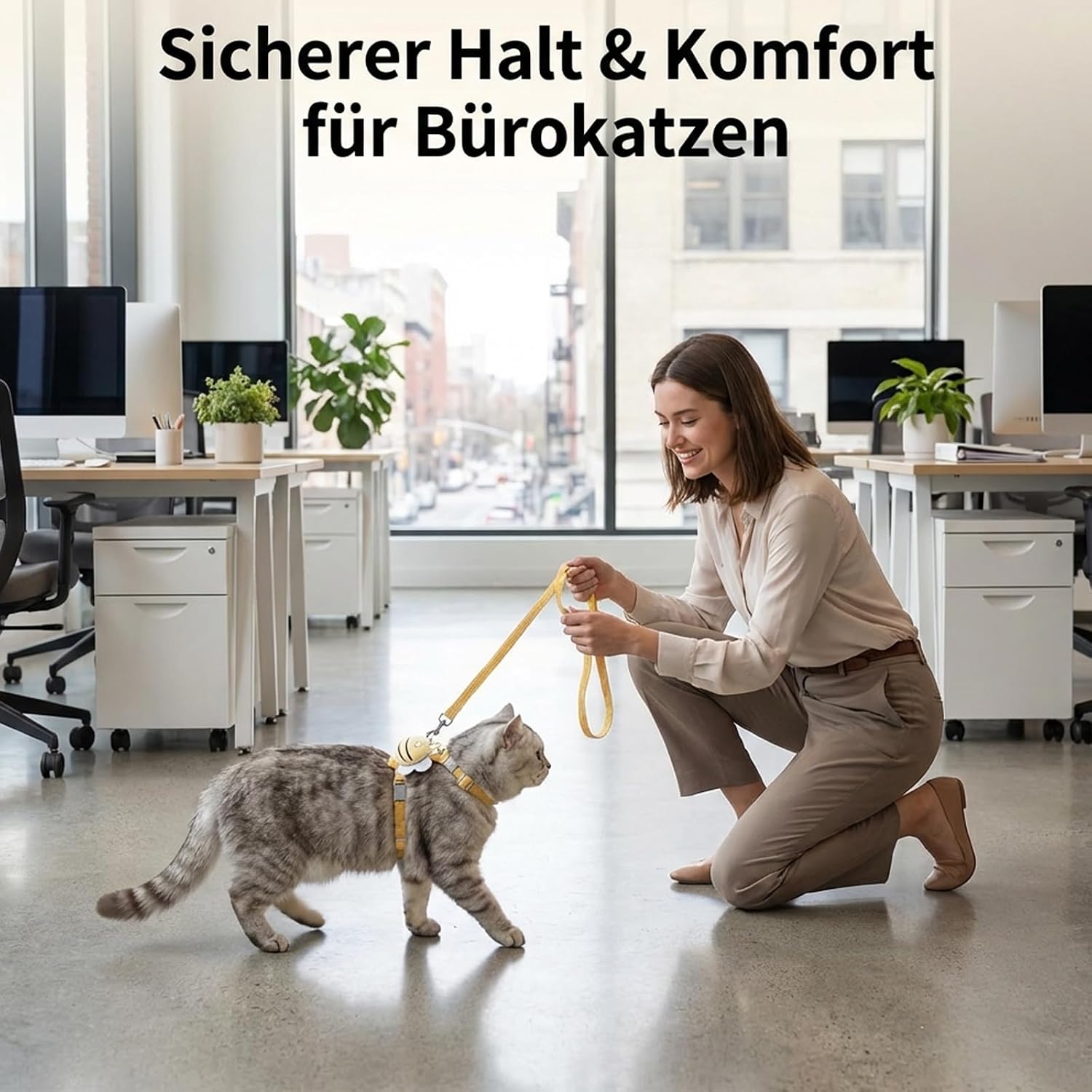 Katzengeschirr verstellbar 2er Set atmungsaktiv Softgeschirr mit Leine Brustgurt