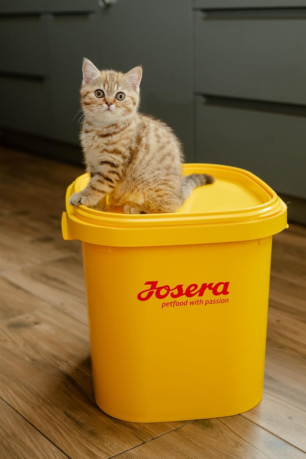 Katzenfutter SensiCat verschiedene Sorten Gefluegel Geschmacklos weizen