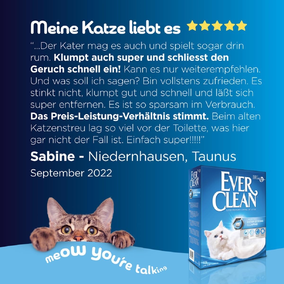 Ever Clean Katzenstreu 10 L extrastark duftstofffrei klumpend