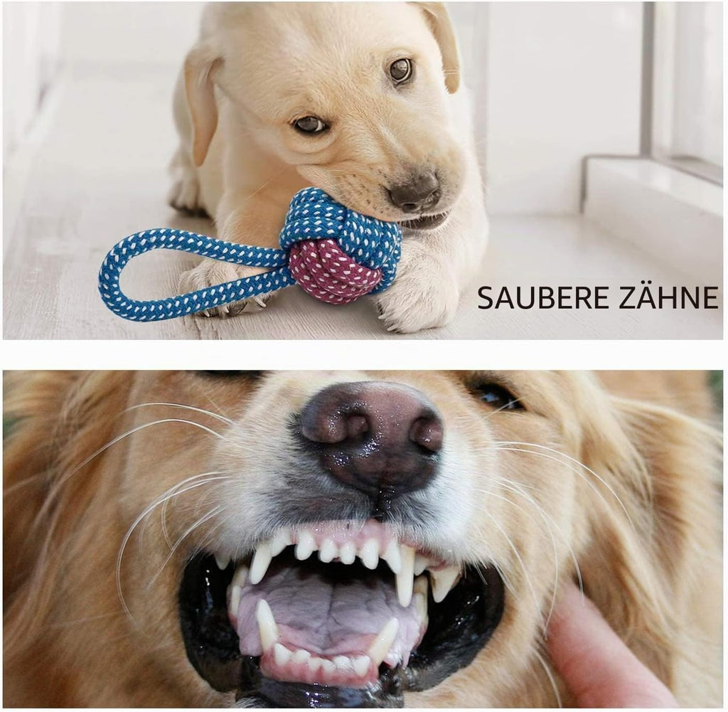 Hundespielzeug Set 7 Teile Kauspielzeug Quietschspielzeug Kuh für Welpen
