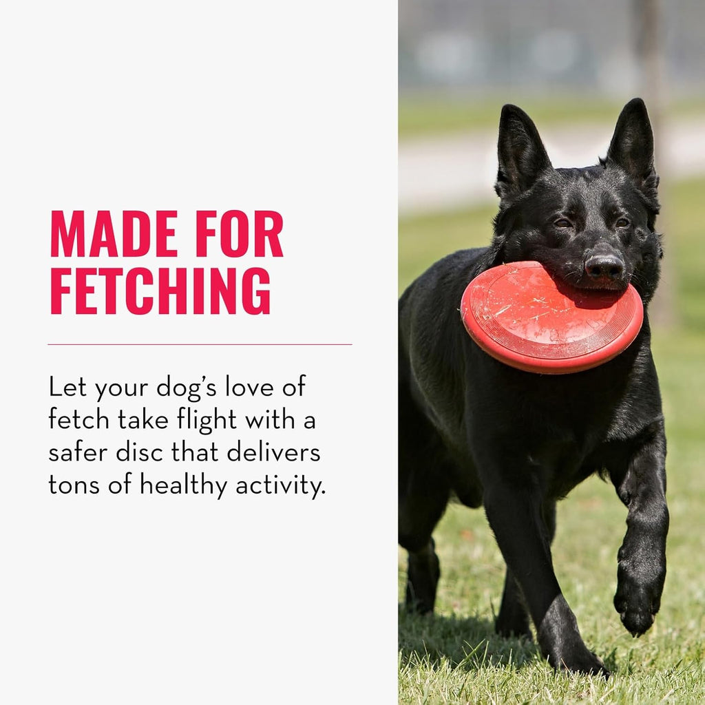 KONG Flyer Wurfscheibe aus Naturkautschuk fuer Hunde