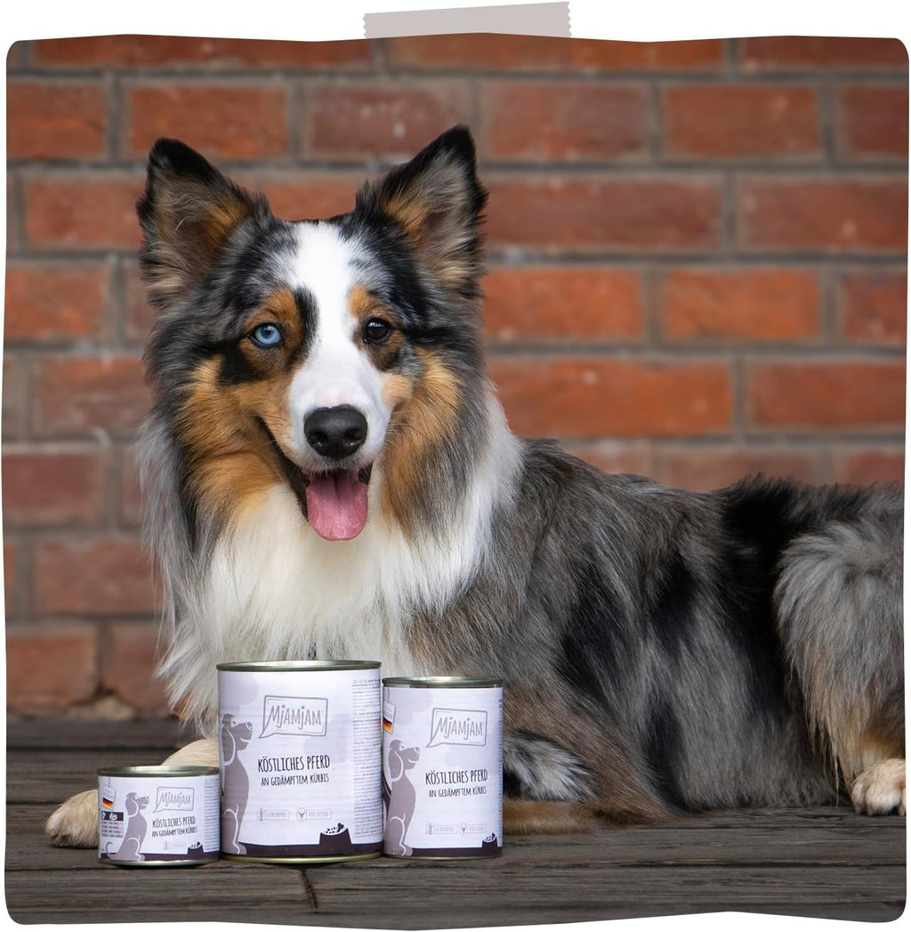 MjAMjAM Nassfutter Hund Pferd mit gedaempftem Kuerbis getreidefrei 400g