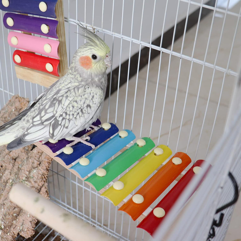 Vogelspielzeug Xylophon hängend für Papagei Wellensittich Käfig Zubehör