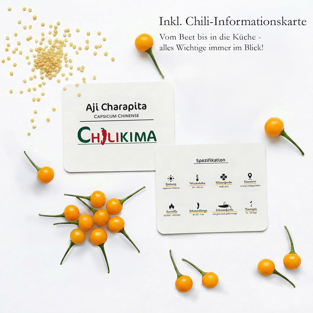 Aji Charapita Chilisamen Anzuchtset Starter Kit Chili Pflanzen ziehen