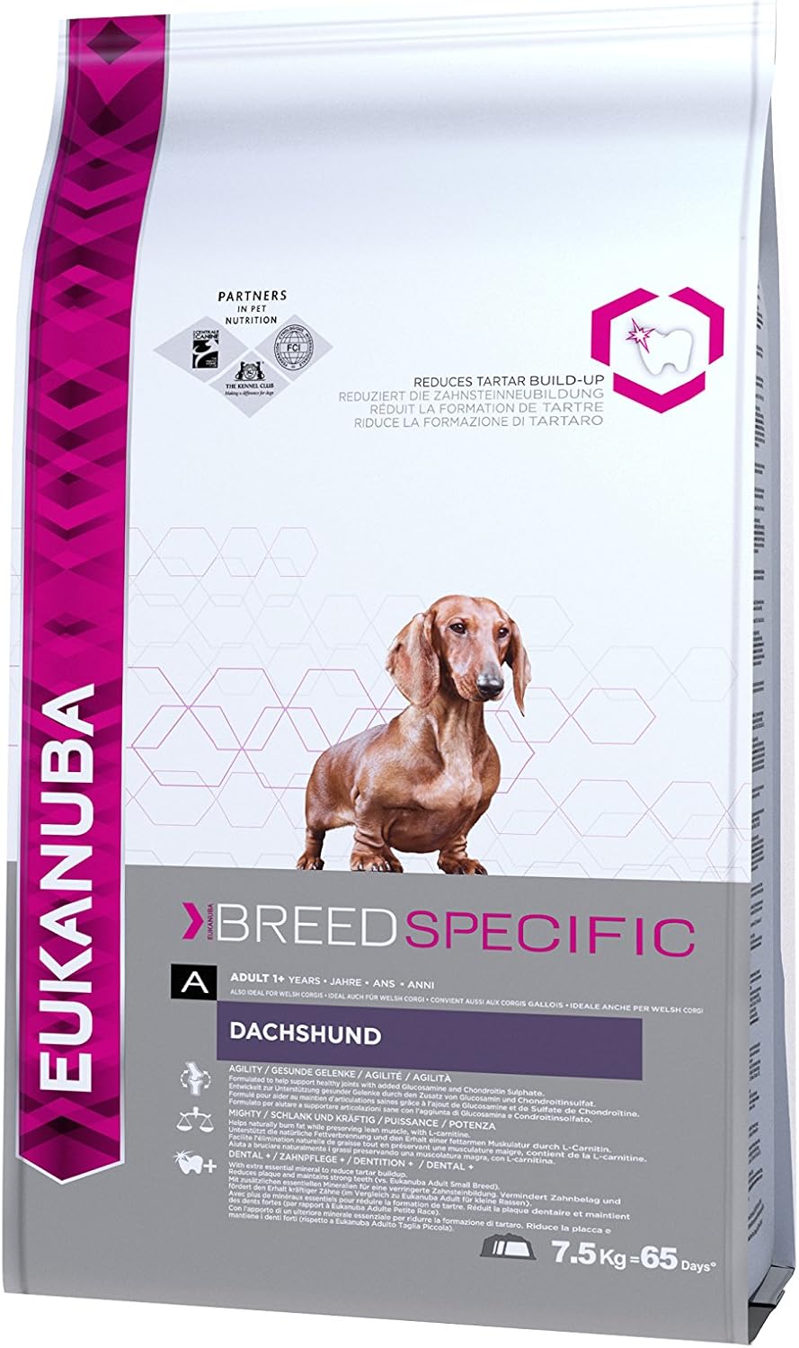 Eukanuba Breed Specific Dackel Trockenfutter - optimal auf die Rasse abgestimmte