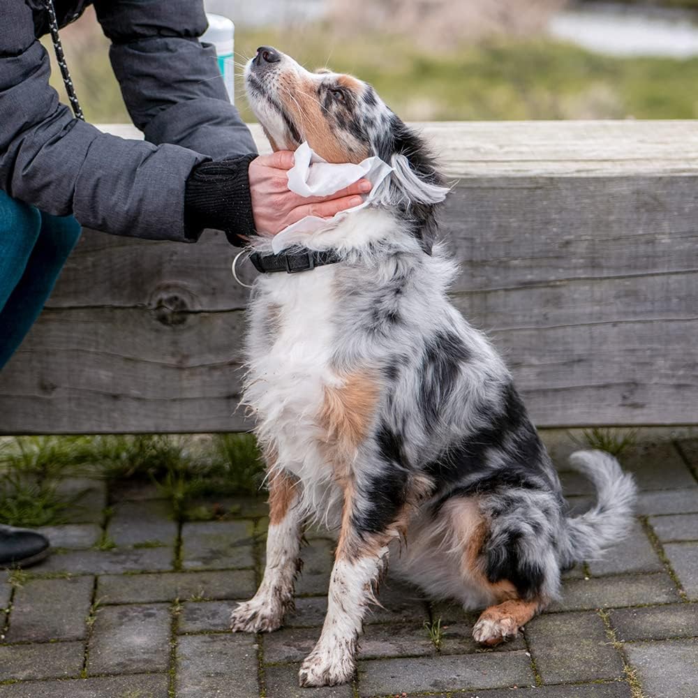 Nobby Reinigungstuecher in Spenderdose 50 Stueck Universal fuer Tiere