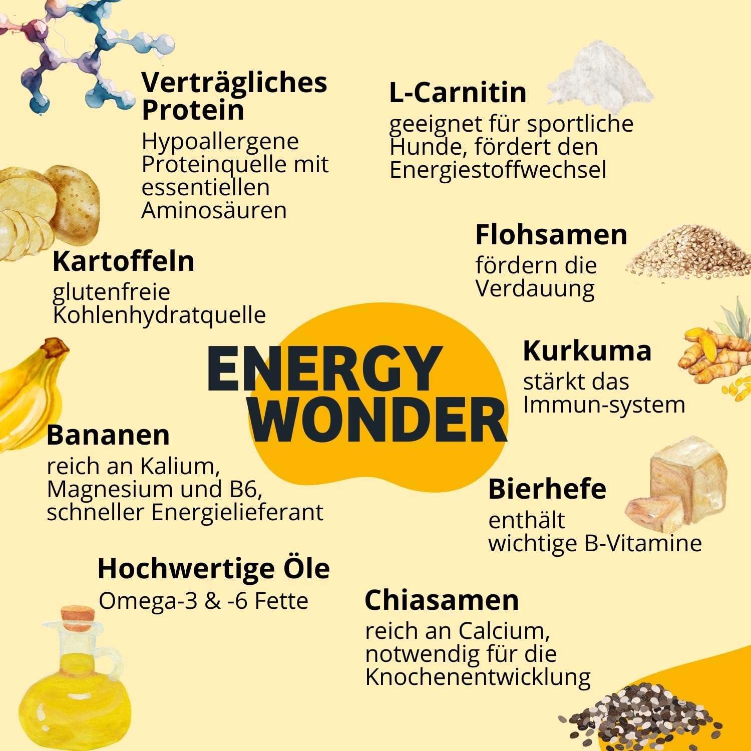 BugBell Trockenfutter Insektenprotein mit Schwarzkuemmeloel Kokosoel Zistrosen