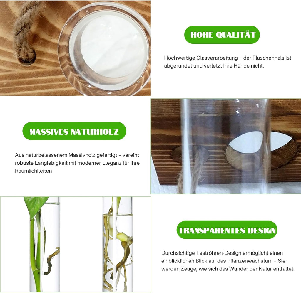 XXXFLOWER Reagenzglaeser 3x5 mit Staender Glas Vase Hydrokultur Stecklinge
