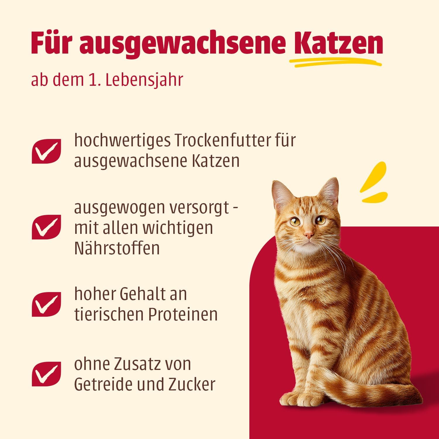 Animonda Carny Katzenfutter Huhn Rind getreidefrei verschiedene Sorten
