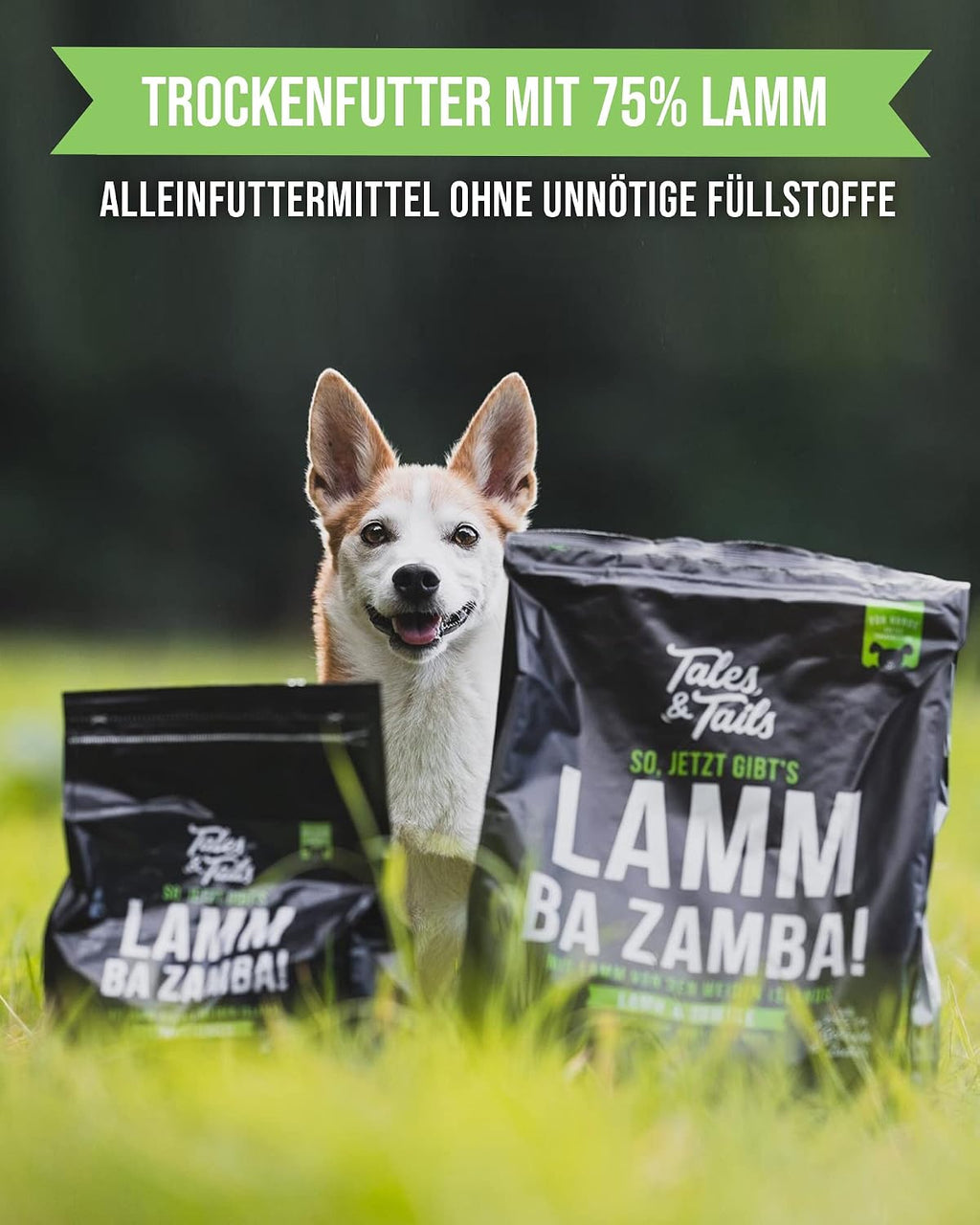 Tales & Tails halbfeuchtes Hundefutter getreidefrei Pferd verschiedene So
