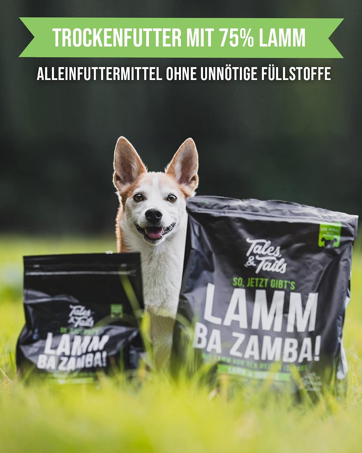 Tales & Tails halbfeuchtes Hundefutter getreidefrei Pferd verschiedene So