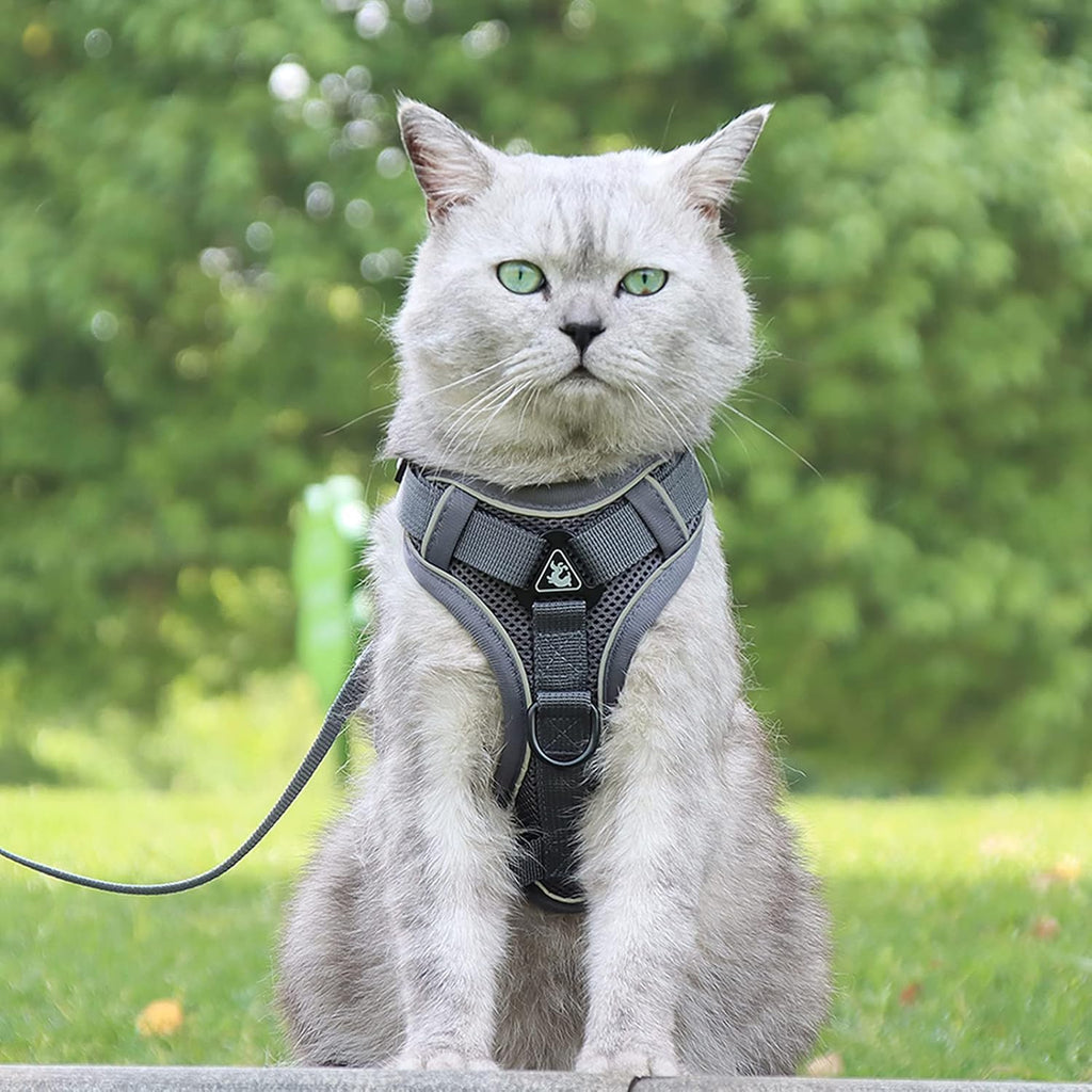 Katzengeschirr verstellbar S-M mit einziehbarer Leine rosa