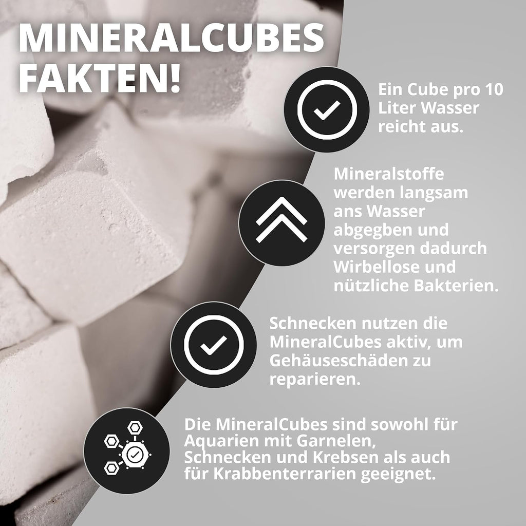 Nano Futterset Shrimp Bites und Mineralcube Pure Mineral 2in1 für Kleintiere