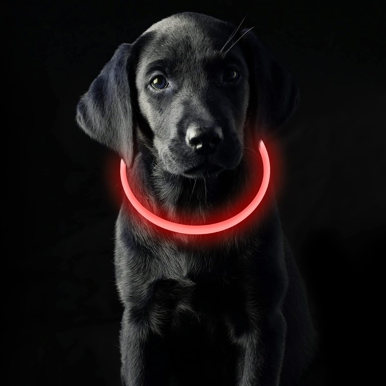 Coolzon LED Leuchthalsband Hundehalsband aufladbar wasserdicht 3 Modi Gruen