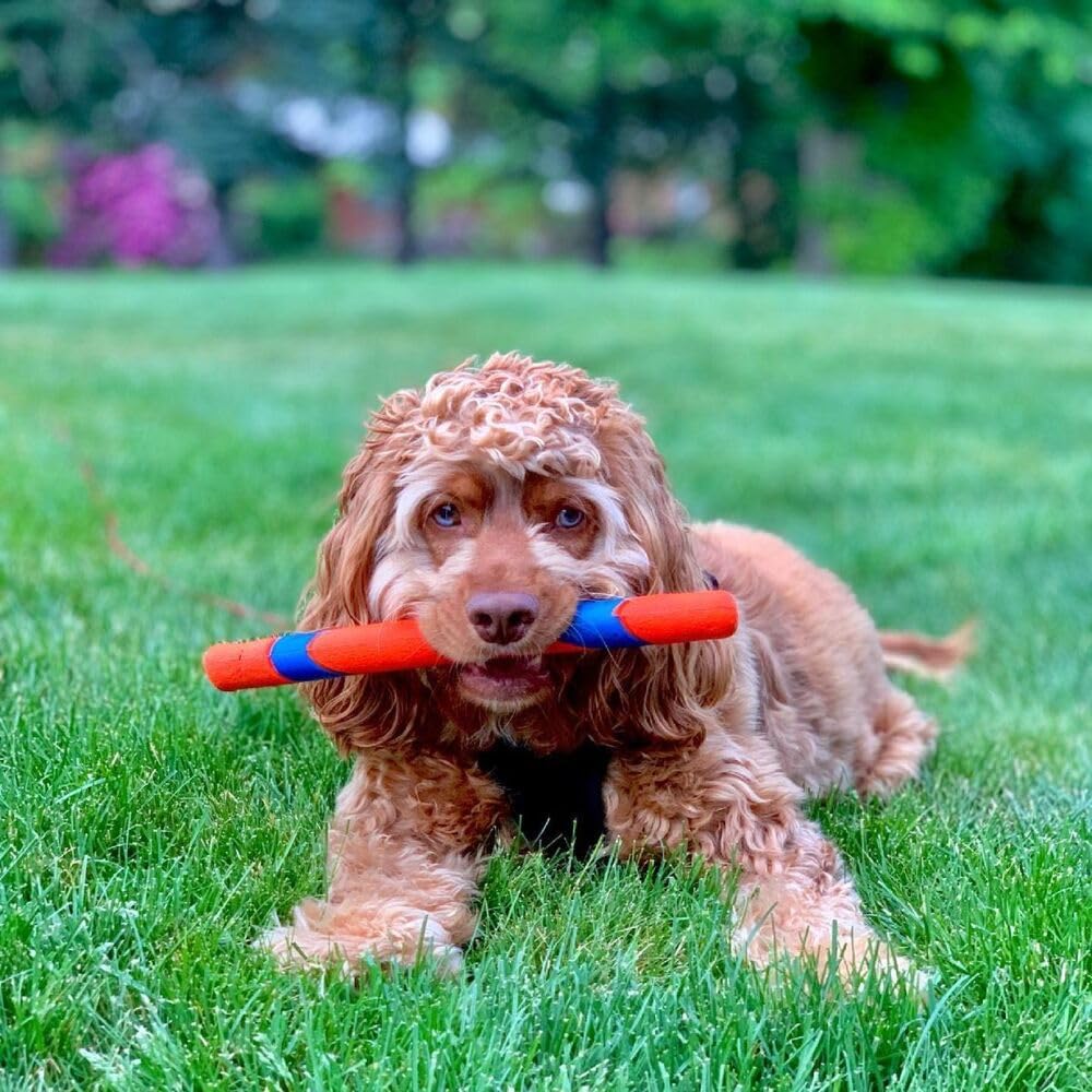 Chuckit! Ultra Fetch Stick 28 cm 1 Stück