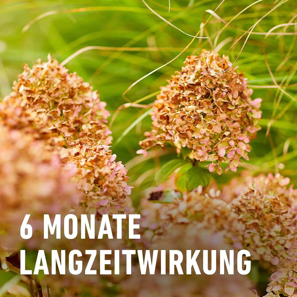 COMPO Stauden Langzeitduenger 2 kg fuer bluehende Stauden, Langzeitwirkung