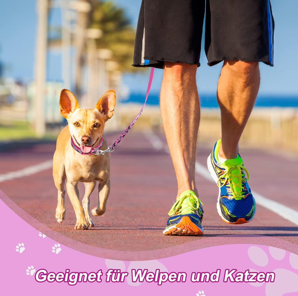 Welpenhalsband mit Leine Set Nylon verstellbar für kleine und mittlere Hunde, 2e