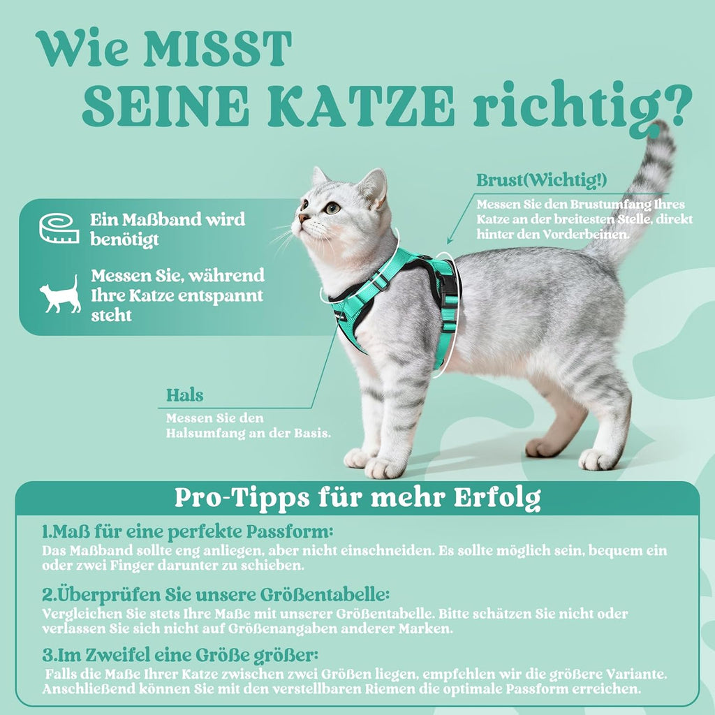 rabbitgoo Katzen Geschirr mit Leine verstellbar reflektierend weich XS Schwarz