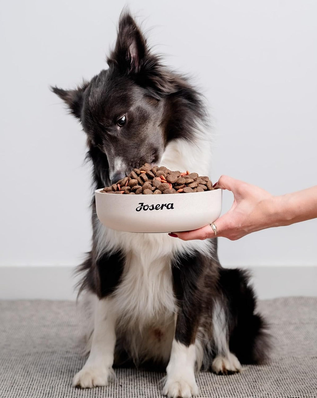Hundefutter Trockenfutter verschiedene Sorten fuer kleine Rassen